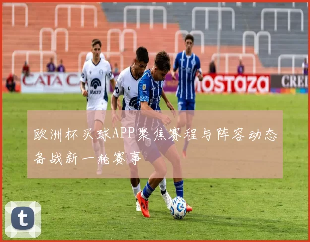 欧洲杯买球APP聚焦赛程与阵容动态备战新一轮赛事