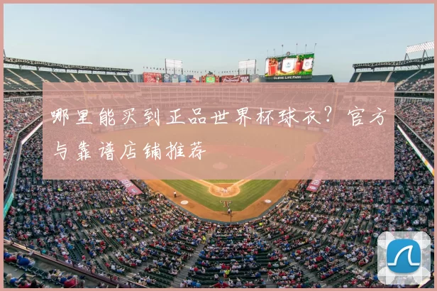 哪里能买到正品世界杯球衣？官方与靠谱店铺推荐