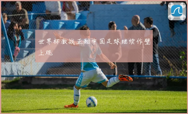 世界杯激战正酣中国足球继续作壁上观