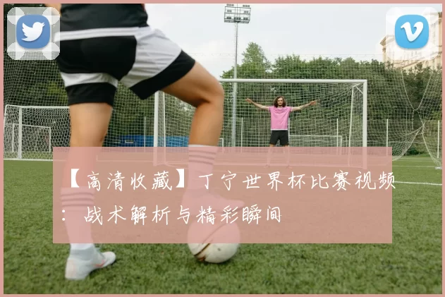 【高清收藏】丁宁世界杯比赛视频：战术解析与精彩瞬间