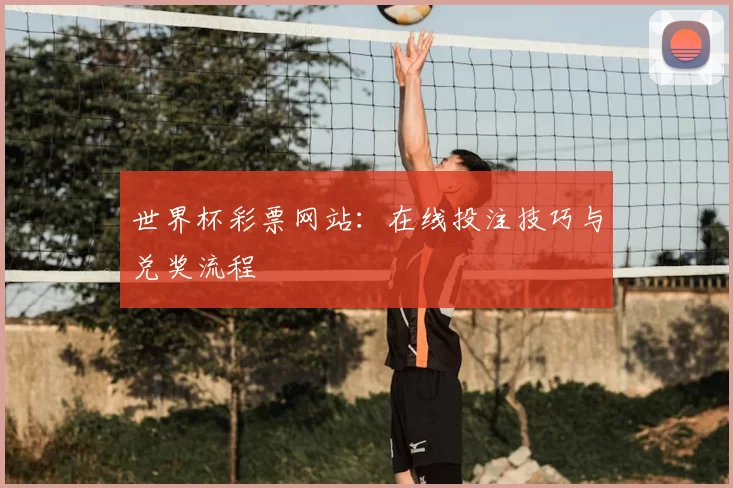 世界杯彩票网站：在线投注技巧与兑奖流程
