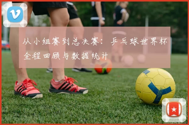 从小组赛到总决赛：乒乓球世界杯全程回顾与数据统计