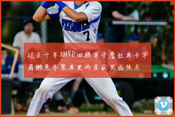 过去十年AMVP回顾华子詹杜库卡字眉獭兔齐聚库里两度获奖成焦点